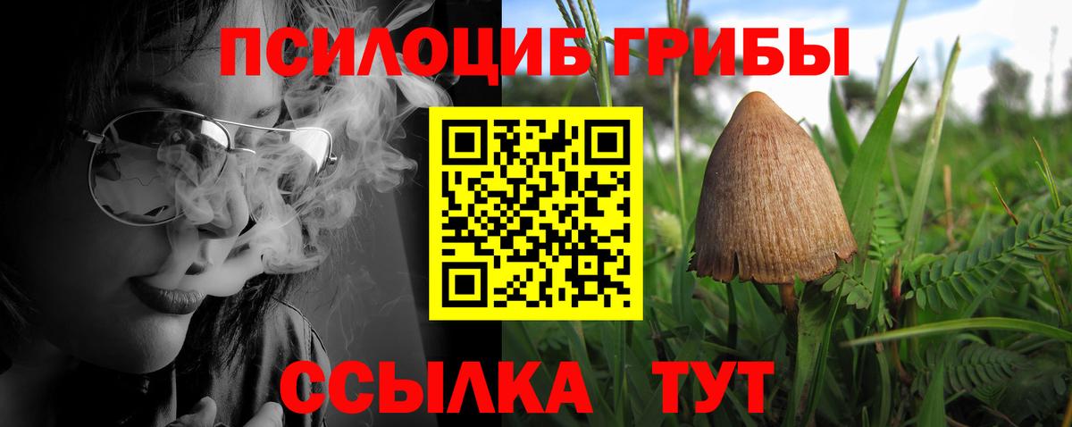 Галлюциногенные грибы Magic Shrooms Губаха