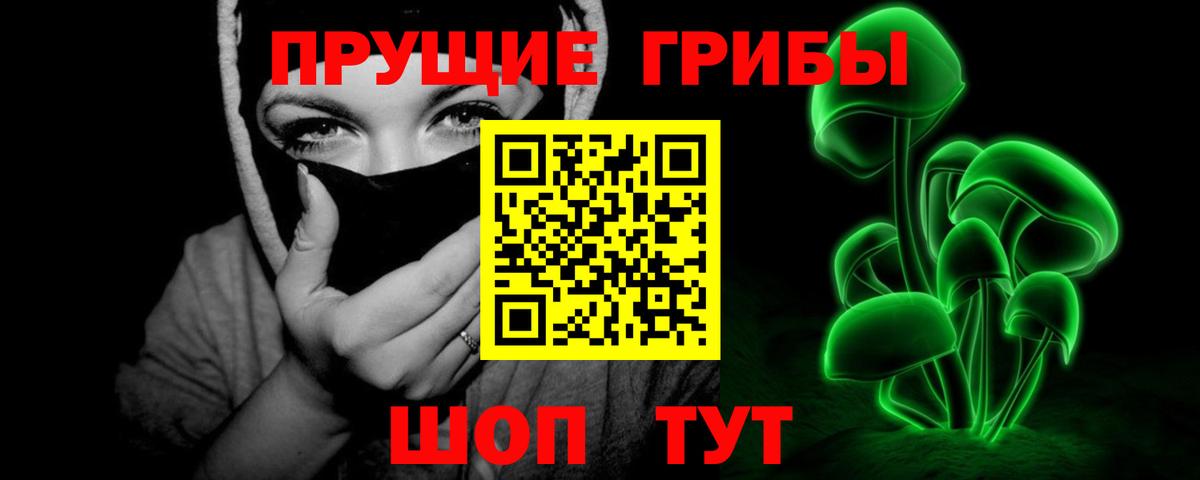 Губаха  Галлюциногенные грибы Psilocybine cubensis  Вход с VPN 